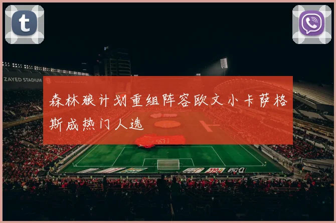 森林狼计划重组阵容欧文小卡萨格斯成热门人选